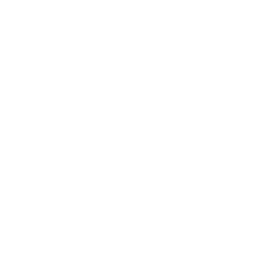 月亮